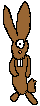 Cyclops Bunny